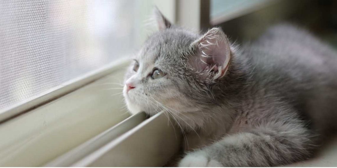 Погода в Украине 17 февраля.