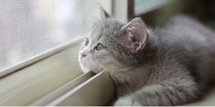 Погода в Украине 17 февраля.