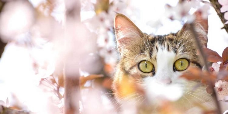 Погода в Украине 20 февраля.