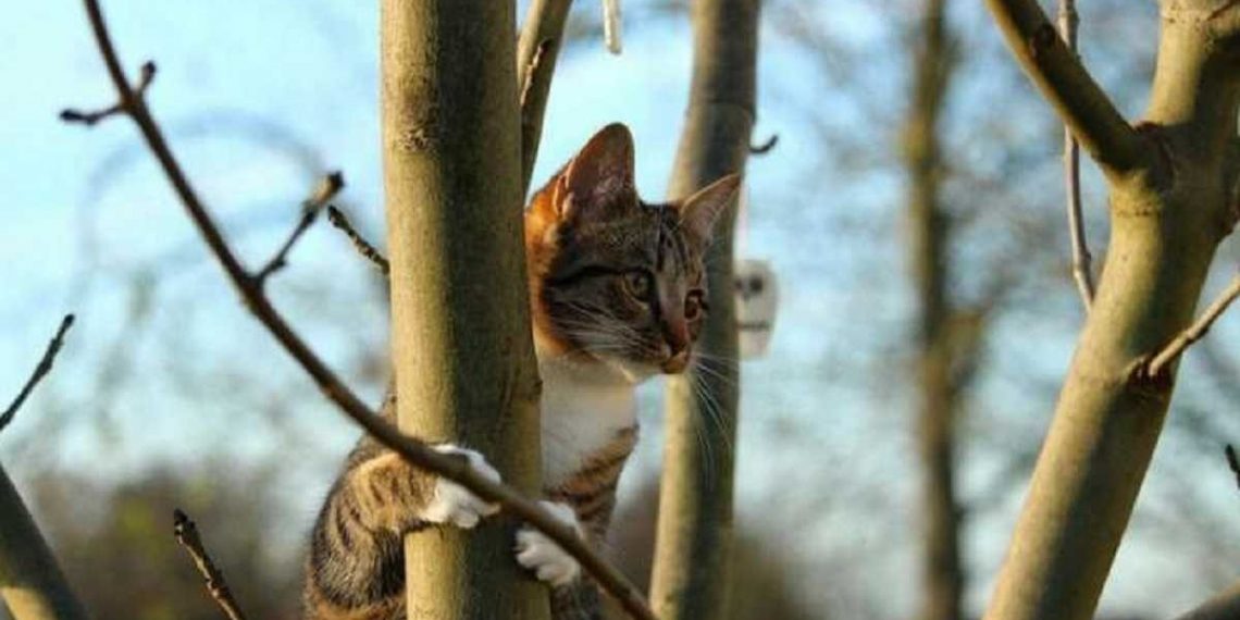 Погода в Украине 22 февраля.