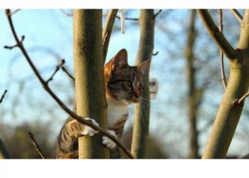 Погода в Украине 22 февраля.