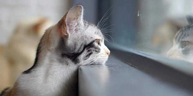 Погода в Украине 23 февраля.