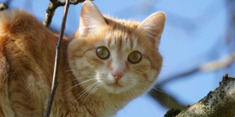 Погода в Украине 24 февраля.