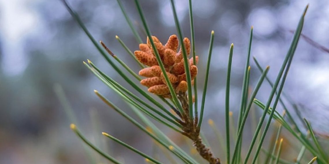 Погода в Украине 26 февраля.