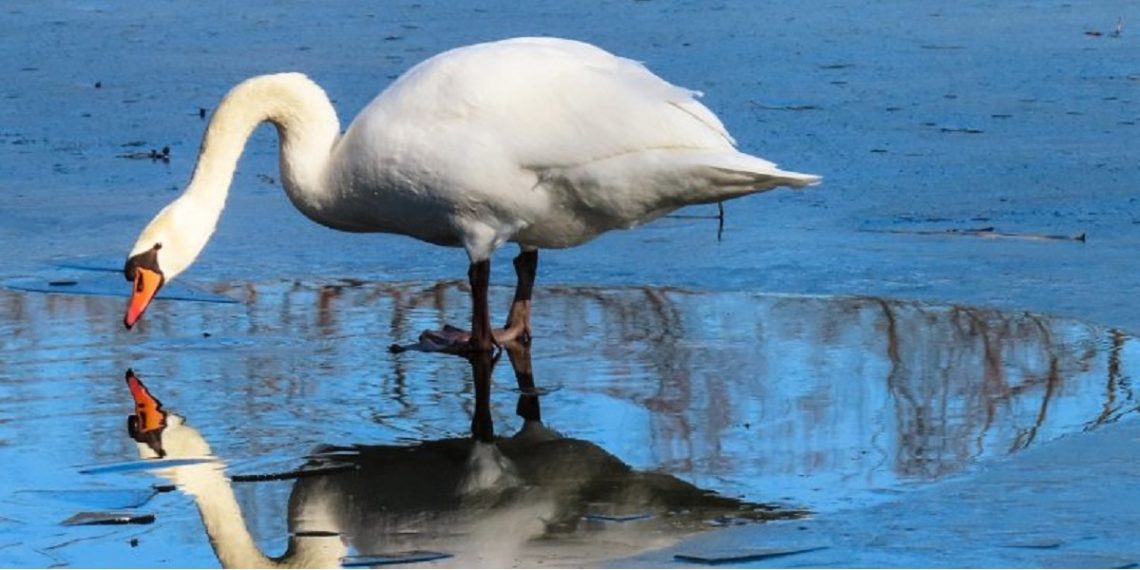 Кто такой Святой Мартиниан и народные приметы.