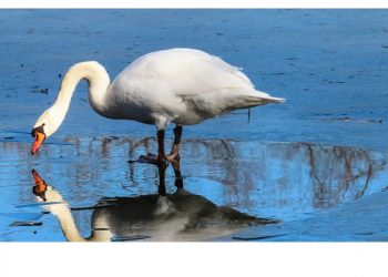 Кто такой Святой Мартиниан и народные приметы.