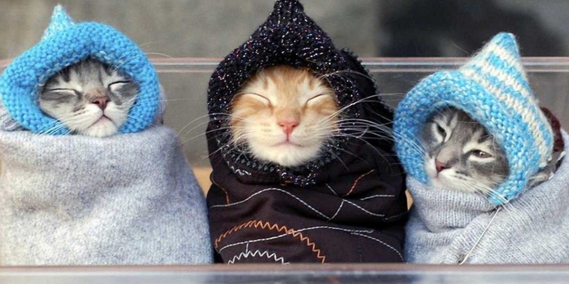 В Украину идет похолодание.