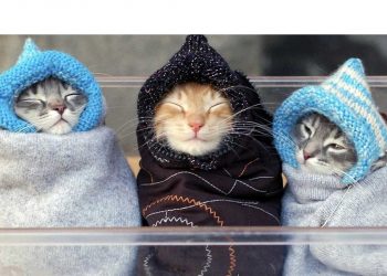 В Украину идет похолодание.