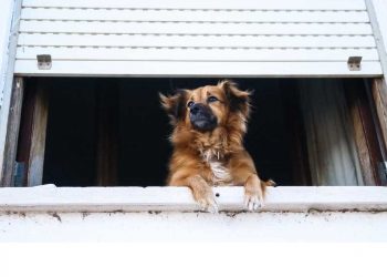 Погода в Украине 6 февраля.