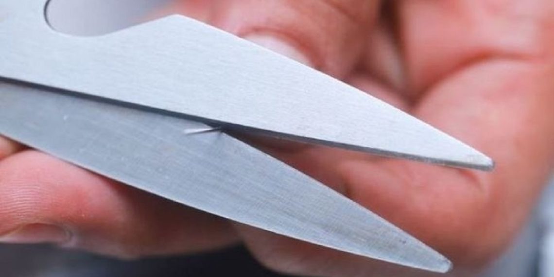 Скрытая сила обыкновенных ножниц.