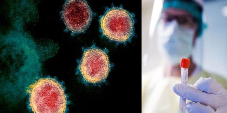 открытие ученых