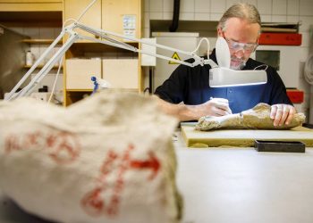 Исследование останков