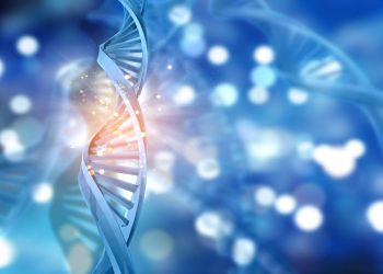 цепочка ДНК