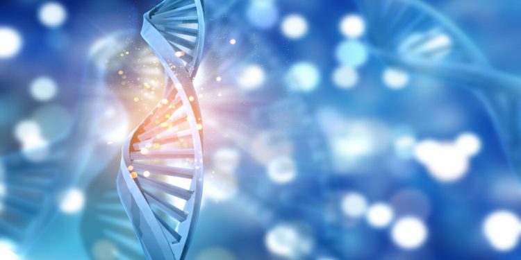 цепочка ДНК