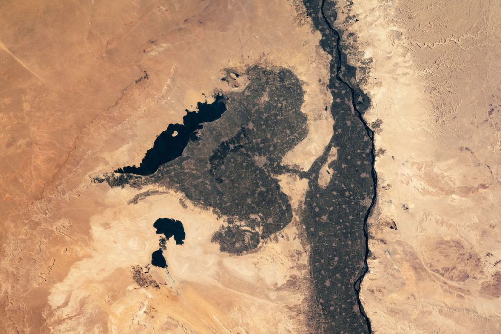 Оазис Файюм в пустыне Египта