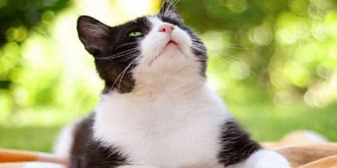 Погода в Украине 25 февраля.