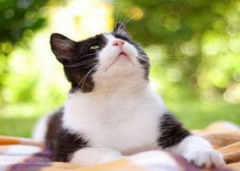 Погода в Украине 25 февраля.