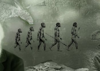 Теория Дарвина