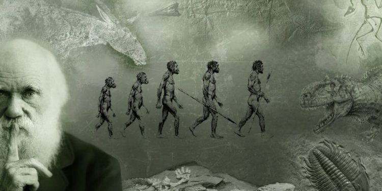 Теория Дарвина