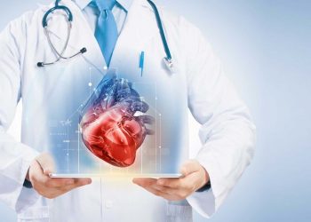 Здоровье сердечно-сосудистой системы