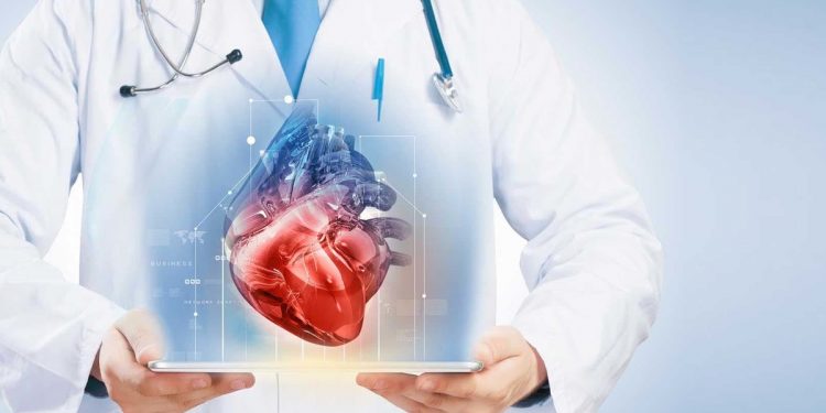 Здоровье сердечно-сосудистой системы