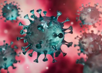 рекорд по COVID-19