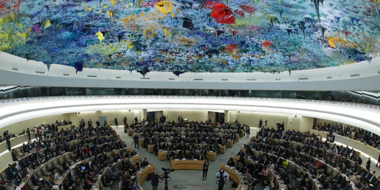 Организация Объединенных Наций