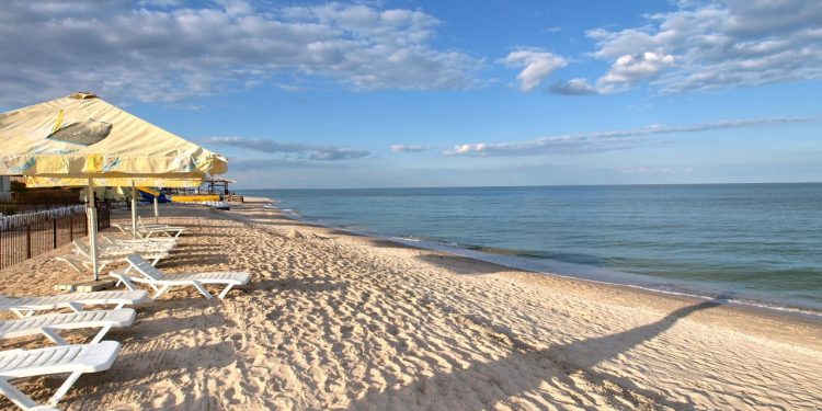 Азовскому морю грозит полное вымирание из-за бомбардировок войсками РФ завода «Азовсталь»: подробности