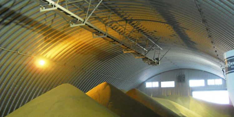 воровство зерна