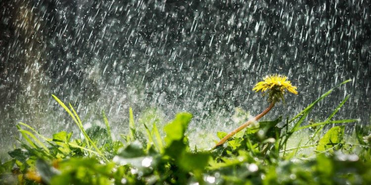 Дожди уже на подходе: синоптик рассказала, когда в Украине спадет жара