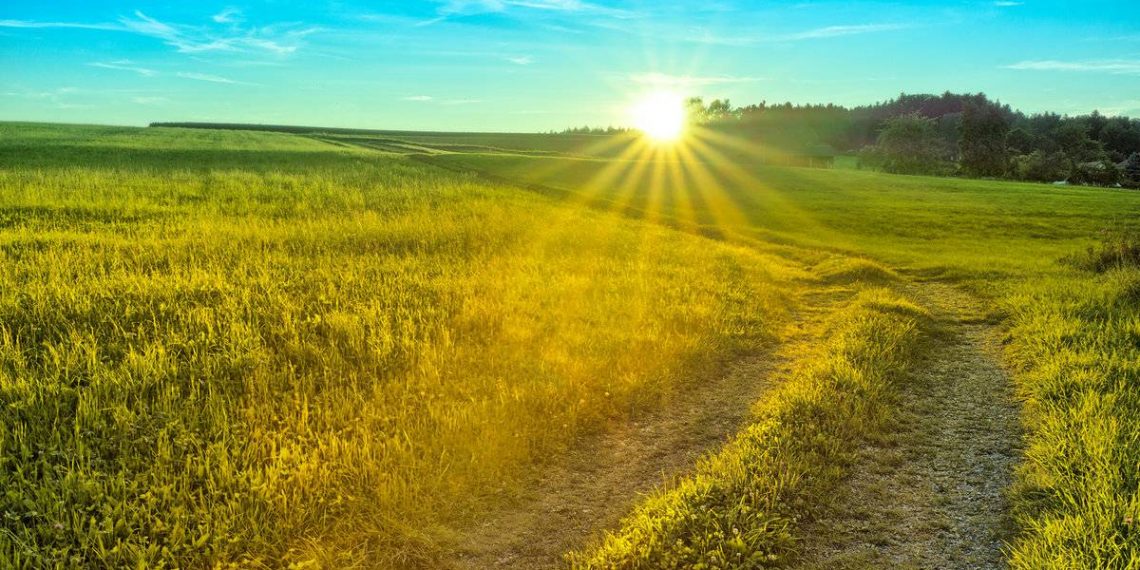 Раскалит до +34: синоптик рассказала о погоде в Украину на Троицу