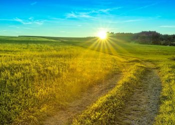 Раскалит до +34: синоптик рассказала о погоде в Украину на Троицу