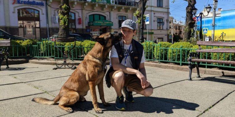 Пес-волонтер Бер