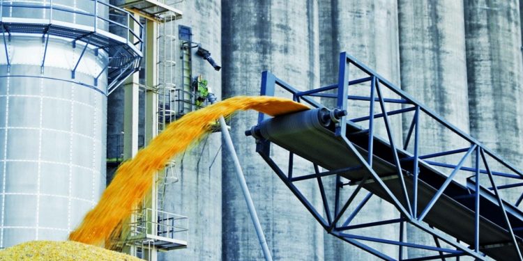 Українське зерно