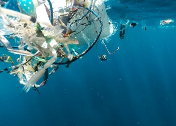 Пластиковый мусор в океане