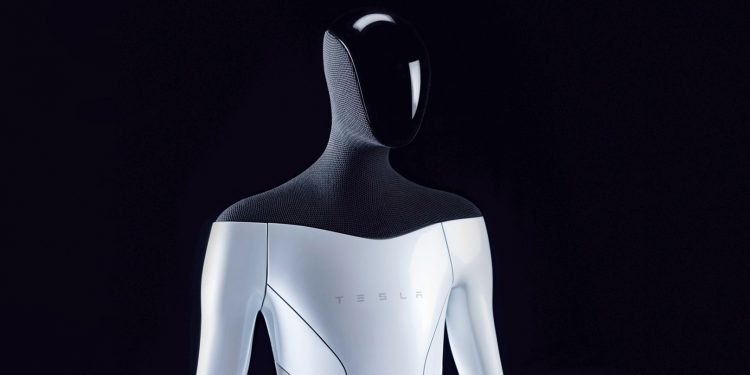 Робот Tesla Bot