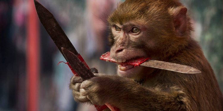 обезьянья оспа