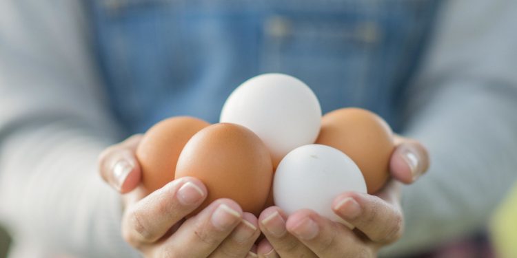 Курячі яйця