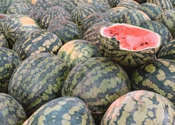 Раздача арбузов в Ижевске