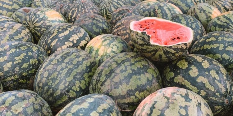 Раздача арбузов в Ижевске