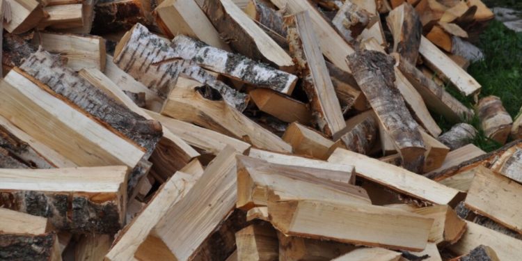 У Бурятії сім'ям мобілізованих видадуть дрова