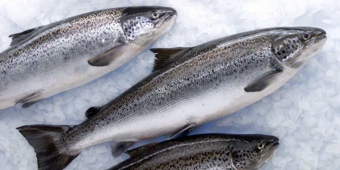 Морожена риба