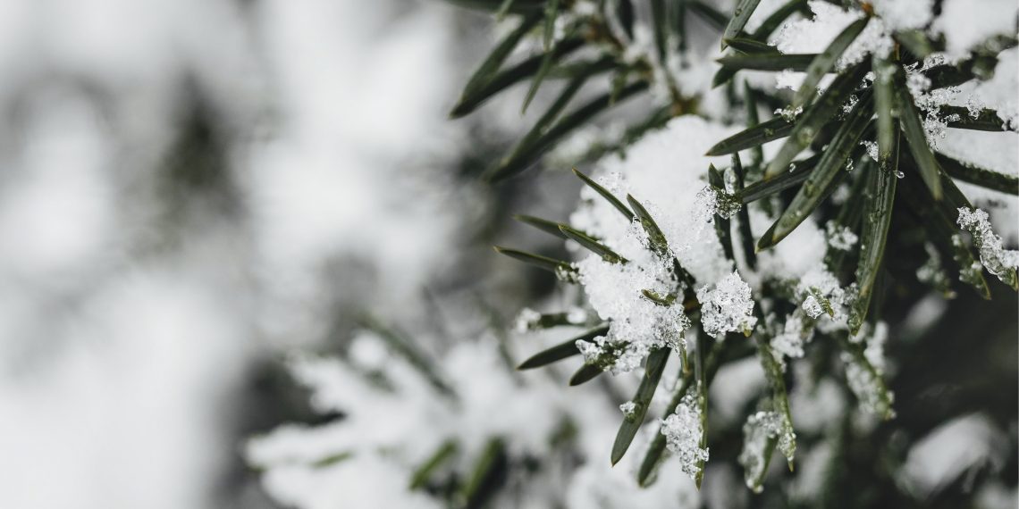 Погода в Україні взимку
