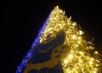 Главная елка Украины в Киеве