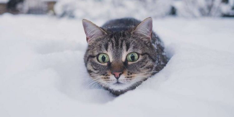 Погода в Україні