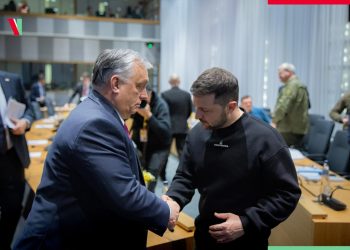 Віктор Орбан і Володимир Зеленський