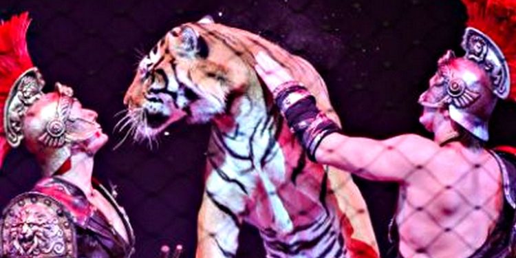 "Росдержцирк".