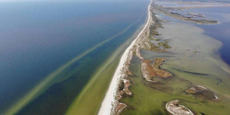 Кінбурнська коса