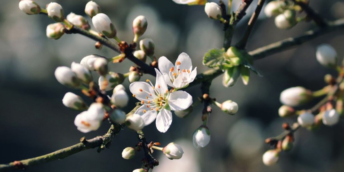 Погода в Україні