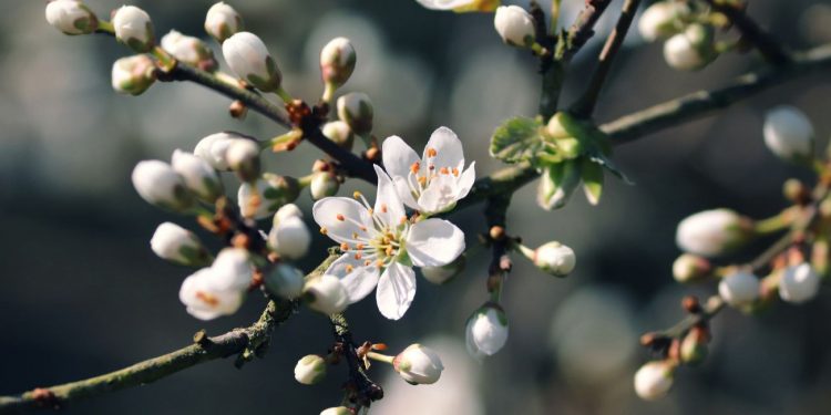 Погода в Україні